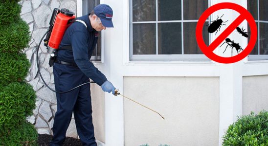 Aybastı Bit İlaçlama böcek ilaçlama ve haşere kontrolü — ilaclama-tr.com